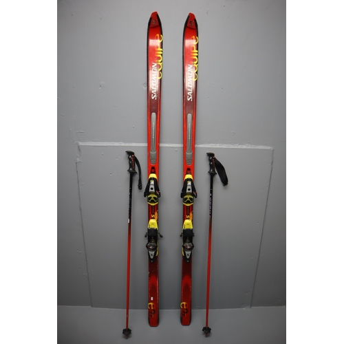 427 - Pair of Salomon Equipe 8200 Skis Apporx 77