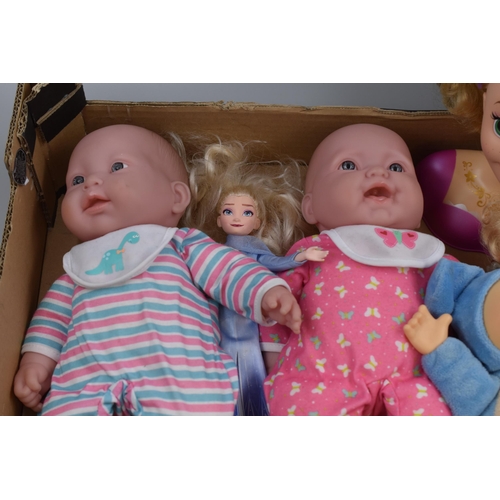 918 - Selection of Doll Figures including Berenguer Dolls, Disney and More