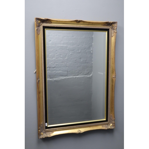 367 - Decorative Gilt Framed Bevel Edged Wall Mirror (36