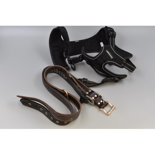 642 - Collection of Dog Items to include a Mid Sized Rabbitgoo Harness and Two Large Quality Leather Colla... 