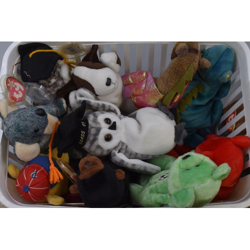 491 - Large Selection of Soft Toy Beanie Bears, includes TY