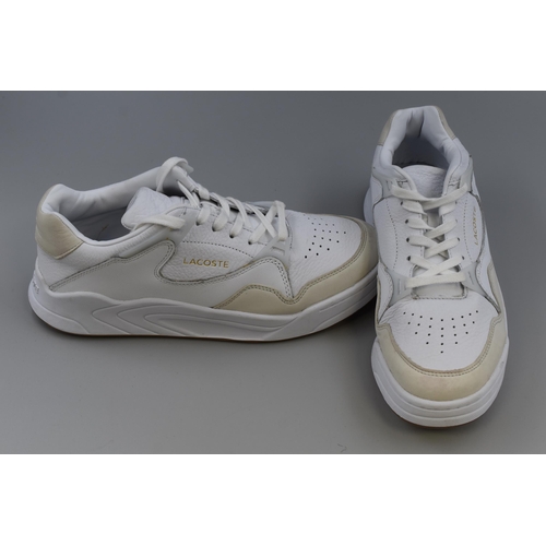 522 - A Pair of Lacoste Court Slam 319 1 Leather and Suede Trainers, In White. Size 8