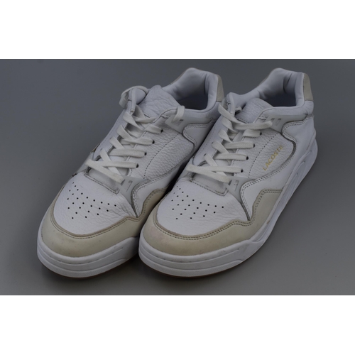 522 - A Pair of Lacoste Court Slam 319 1 Leather and Suede Trainers, In White. Size 8