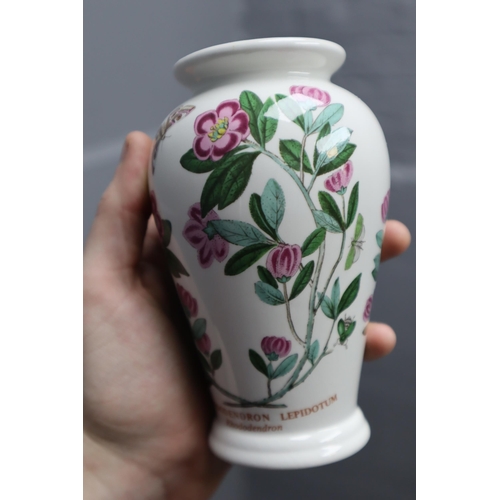 735 - A Mixed Selection To Include Portmeirion The Botanic Garden Vase, Hillstonia Jug, Royal Doulton Will... 