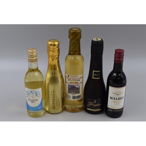 173 - Sealed Bottles of Freixenet, Malbec, Belizean Rum, Blossom Hill and Bottega Prosecco (187ml, 200ml, ... 