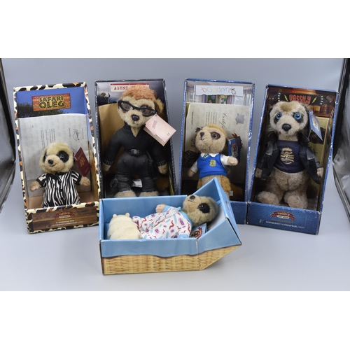 803 - Six Meercat Teddies includes Baby Oleg's Pet Grub