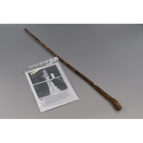 303 - A Third Reich Falaka/Bastinado Foot Torture Stick, Approx 23.5