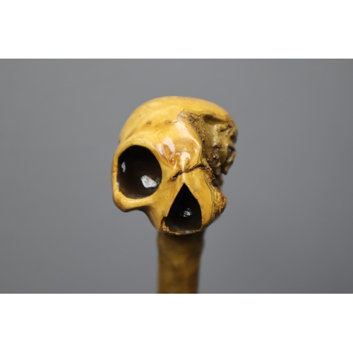 257 - Antique Hand Made Coppice Wood Walking Stick in the form of a Skull 35