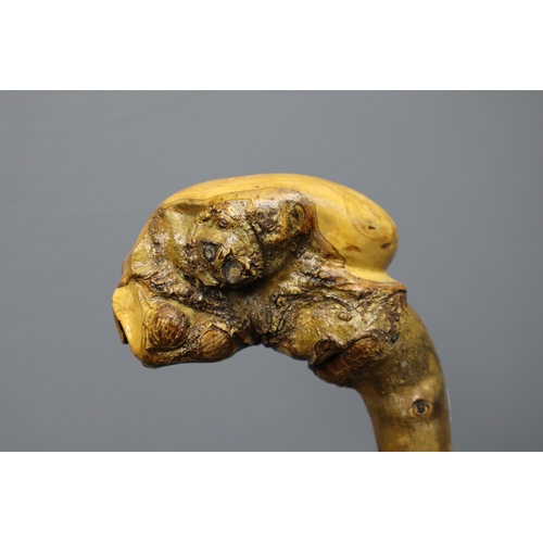 257 - Antique Hand Made Coppice Wood Walking Stick in the form of a Skull 35