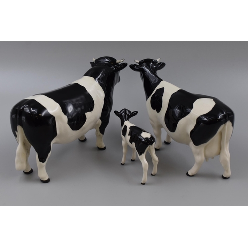 167 - Three Beswick Friesian Cattle figurines, Claybury Leegwater Cow no. 1362A, Calf no. 1249C and CH. Co... 