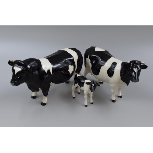 167 - Three Beswick Friesian Cattle figurines, Claybury Leegwater Cow no. 1362A, Calf no. 1249C and CH. Co... 