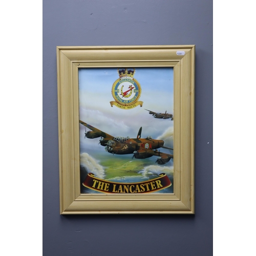 371 - Framed and Glazed Royal Airforce 149 Squadron 