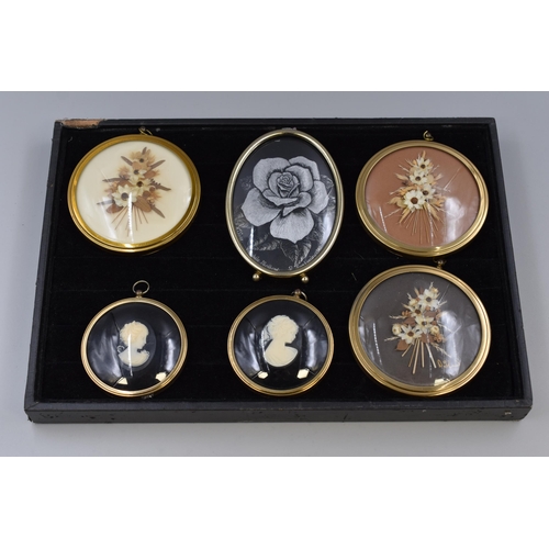 209 - Six Miniature Framed Pictures to include Cameo, Dried Flowers and Foiled Rose