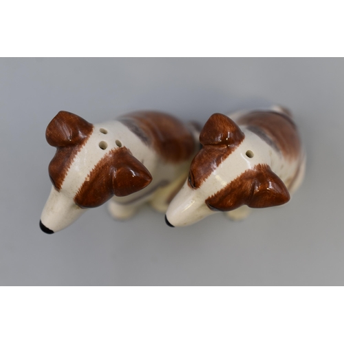 243 - Pair of Ceramic Jack Russell themed Salt and Pepper pots on Base