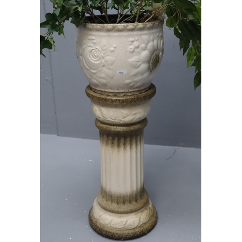 610 - Stoneware Jardinière and Stand complete with Plant (Height 25