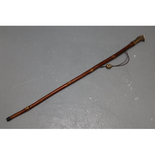 267 - Gypsy Horn Handled Walking Stick with Leather Banding (25