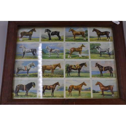 279 - An Equestrian Lot. Includes Framed and Glazed Player's Cigarette Cards, Horse Brass and Original Hor... 