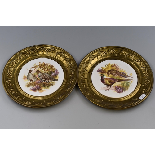 281 - Two Porcelain Wall Plaques displaying game Birds in Brass Mounts (10