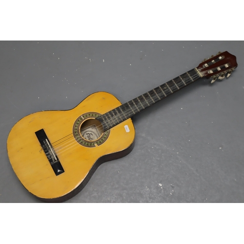 447 - Falcon Model FG103 Acoustic Guitar