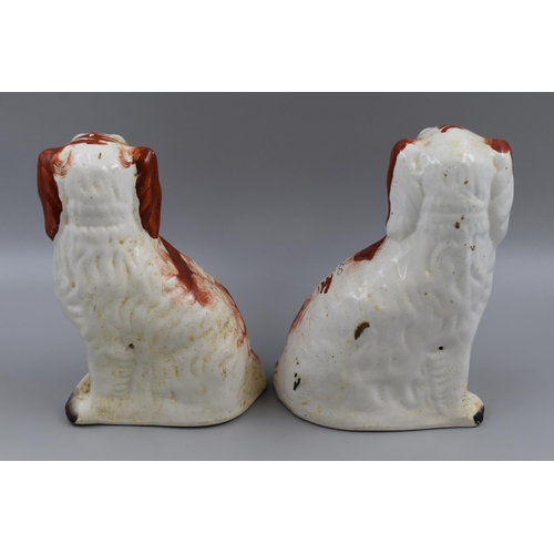 264 - Pair of Staffordshire Flatback Fire Dogs (10