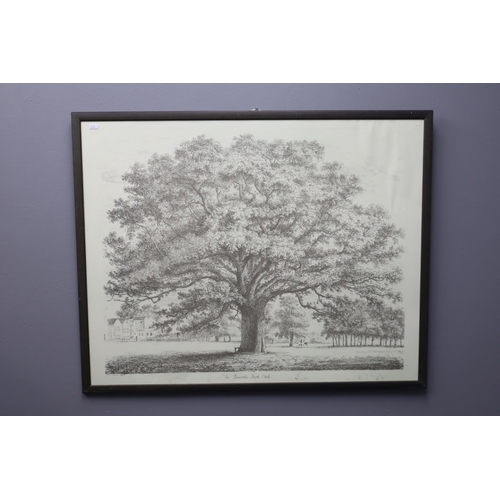 333 - Jacob Strutt Print entitled The Bounds Park Oak in Framed and Glazed Mount (36