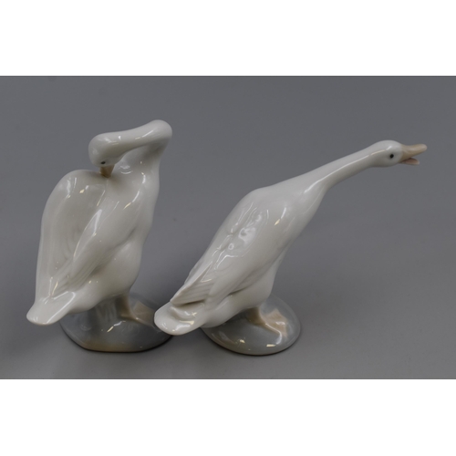 250 - Two Lladro Porcelain Geese