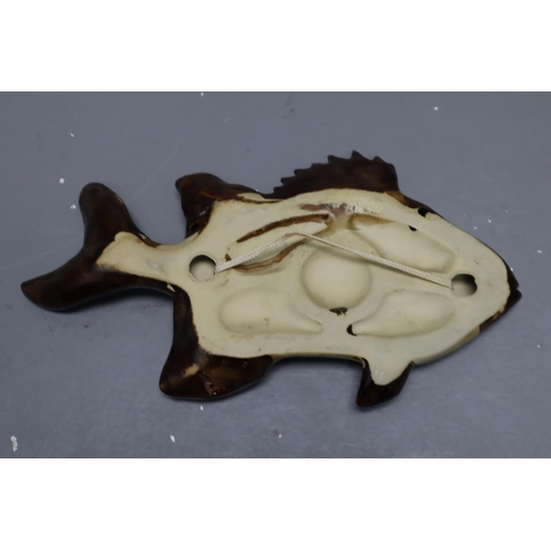 253 - Glazed Stoneware Wall Hanging Fish (13.5”)