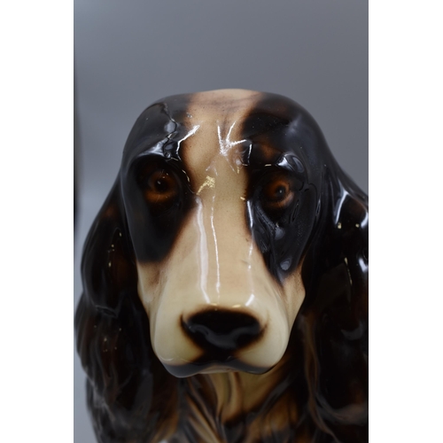 262 - Large Glazed Spaniel Figure (16