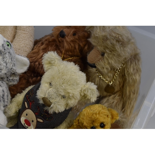 881 - Selection of five teddy bears and a cat largest 18