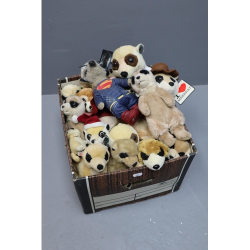 827 - Large Collection of 'Meercat' Soft Toys, Various Sizes