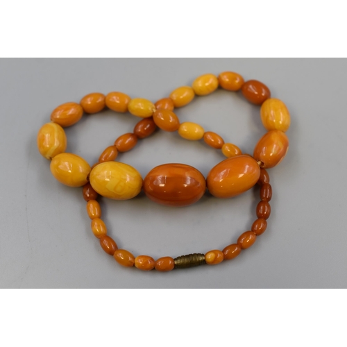17 - Graduated Amber Necklace 24g, 17” Long