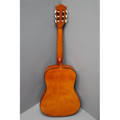 486 - Herald HL34 Classical Acoustic Guitar (One String is Missing)