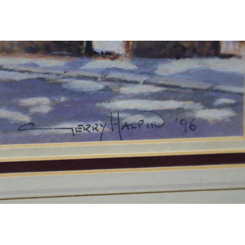 387 - Original Terry Halpin Signed Watercolour in Framed and Glazed Mount (19