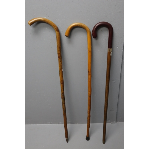 683 - Three Traditional Wooden Walking Sticks, Includes Leather Handled and More