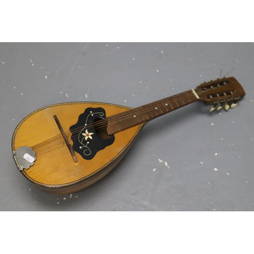 579 - Vintage Bowl Back Mandolin (Missing Two Strings)