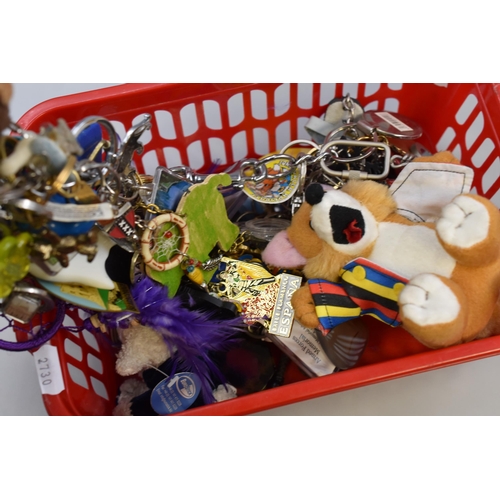 490 - Large Collection of Collectable Key Rings.