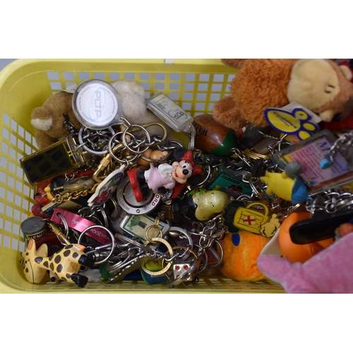 491 - Large Collection of Collectable Key Rings.