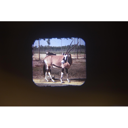 215 - A Retro 1970's Viewmaster, With Pee-wee's Playhouse and Terrahawks Picture Discs