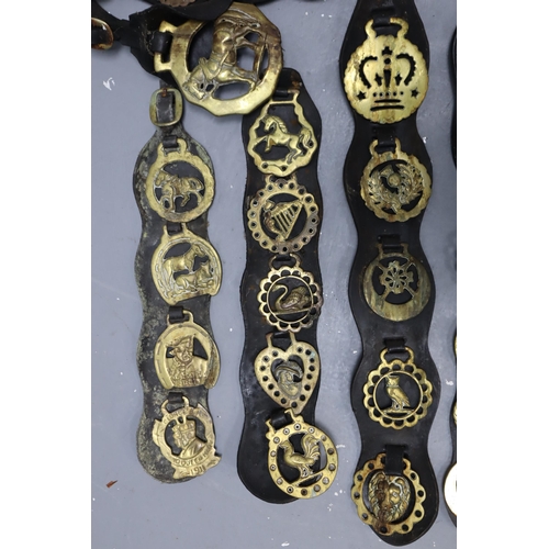 810 - A Selection of Eleven Horse Brasses