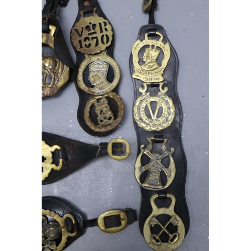 810 - A Selection of Eleven Horse Brasses