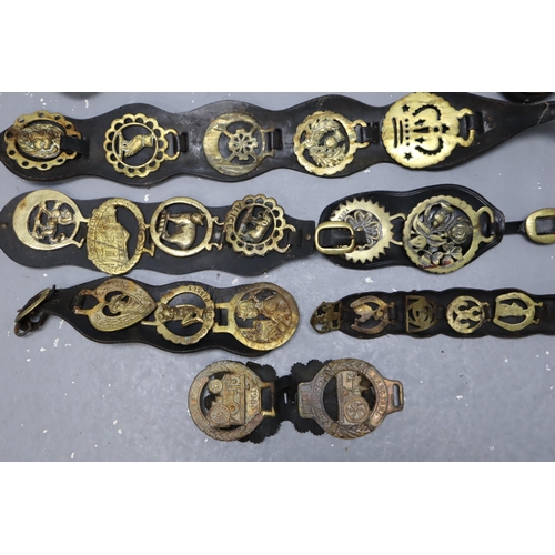 810 - A Selection of Eleven Horse Brasses