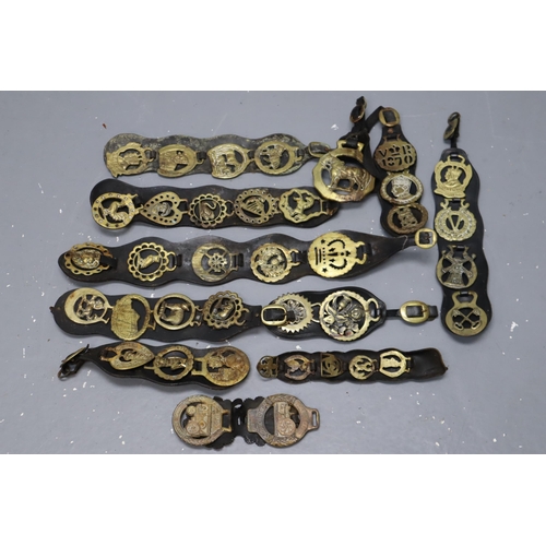 810 - A Selection of Eleven Horse Brasses