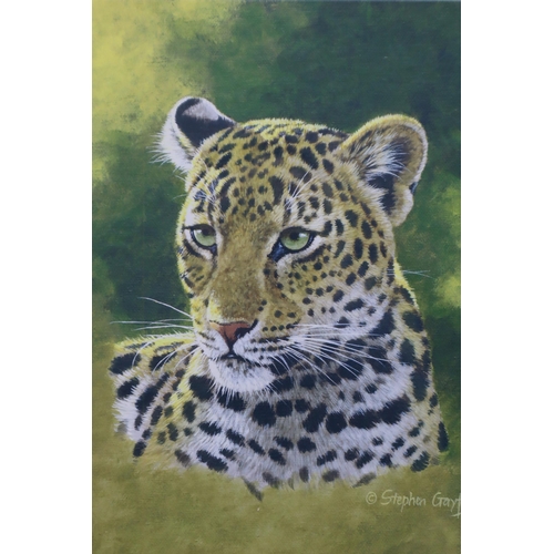 829 - Four Framed and Glazed Stephen Gayford Signed Limited Edition Prints. Four Cubs (Cheetah, Lion, Leop... 