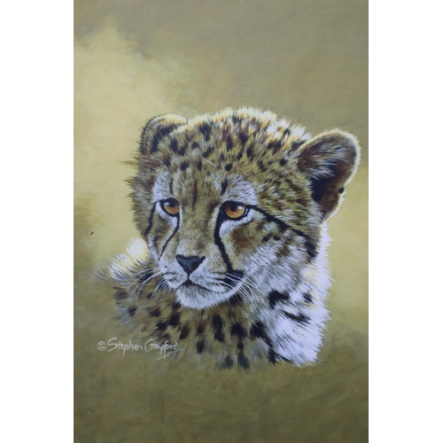 829 - Four Framed and Glazed Stephen Gayford Signed Limited Edition Prints. Four Cubs (Cheetah, Lion, Leop... 