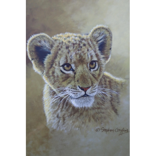 829 - Four Framed and Glazed Stephen Gayford Signed Limited Edition Prints. Four Cubs (Cheetah, Lion, Leop... 