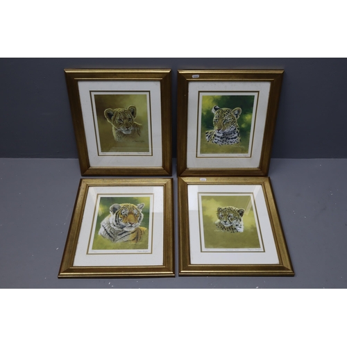 829 - Four Framed and Glazed Stephen Gayford Signed Limited Edition Prints. Four Cubs (Cheetah, Lion, Leop... 