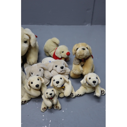 832 - Collection of Cuddly Plush Collectable Doggie Teddies to include Keel, Beenie, Andrex and other.