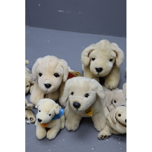 832 - Collection of Cuddly Plush Collectable Doggie Teddies to include Keel, Beenie, Andrex and other.