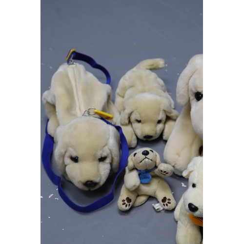 832 - Collection of Cuddly Plush Collectable Doggie Teddies to include Keel, Beenie, Andrex and other.