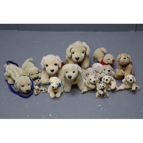 832 - Collection of Cuddly Plush Collectable Doggie Teddies to include Keel, Beenie, Andrex and other.